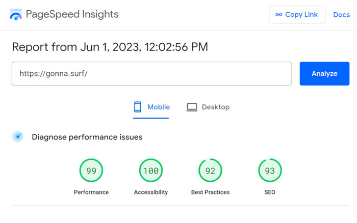 Screenshot of Google Pagespeed Insights report for gonna.surf